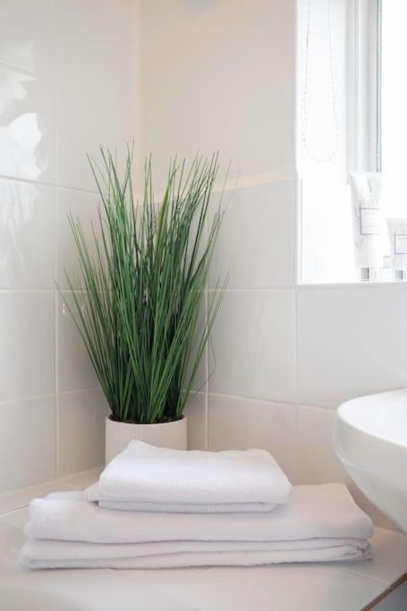 3 Bed House/Garden/Wi-Fi/Parking/Central Location Villa Guildford Ngoại thất bức ảnh